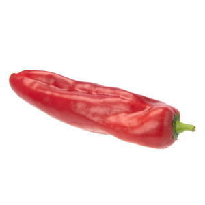 Paprika punt rood