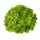 Sla eikenblad groen