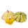 Patisson